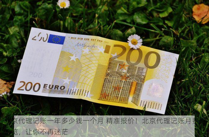 北京代理记账一年多少钱一个月 精准报价！北京代理记账月费用一览，让你不再迷茫