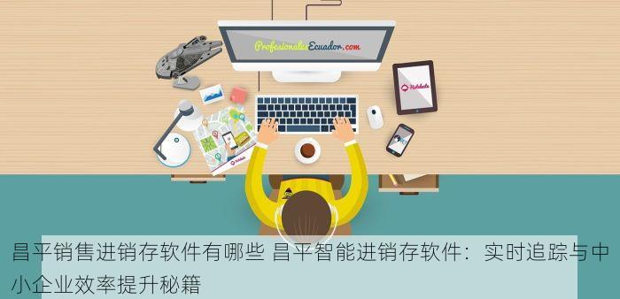昌平销售进销存软件有哪些 昌平智能进销存软件：实时追踪与中小企业效率提升秘籍