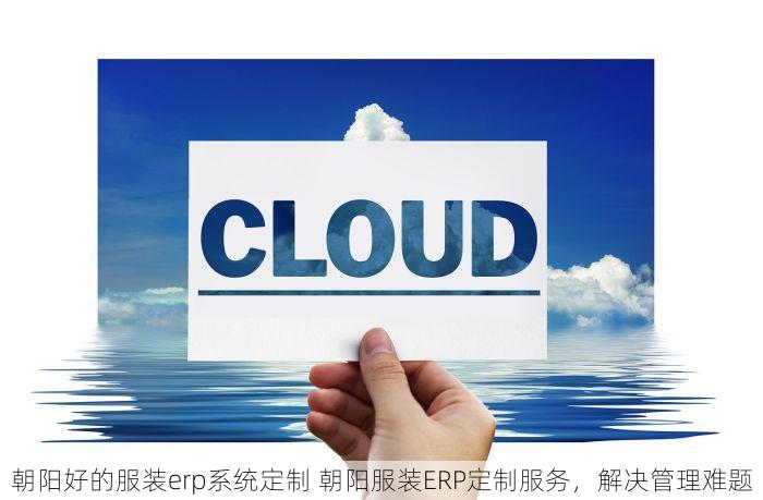 朝阳好的服装erp系统定制 朝阳服装ERP定制服务，解决管理难题