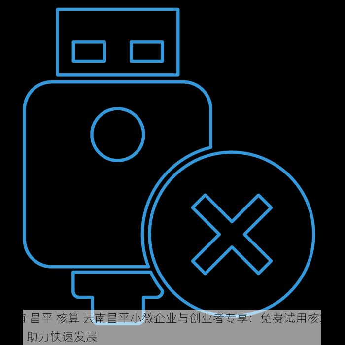 云南 昌平 核算 云南昌平小微企业与创业者专享：免费试用核算工具，助力快速发展