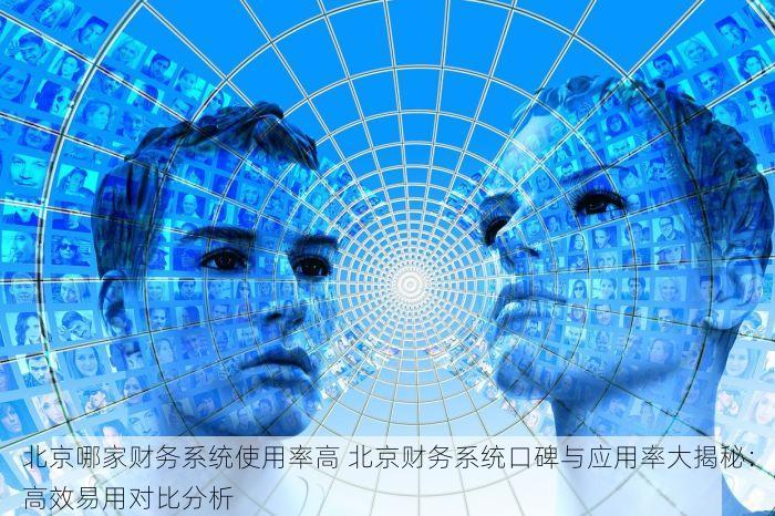 北京哪家财务系统使用率高 北京财务系统口碑与应用率大揭秘：高效易用对比分析