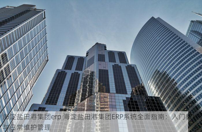 海淀盐田港集团erp 海淀盐田港集团ERP系统全面指南：入门教程与日常维护管理