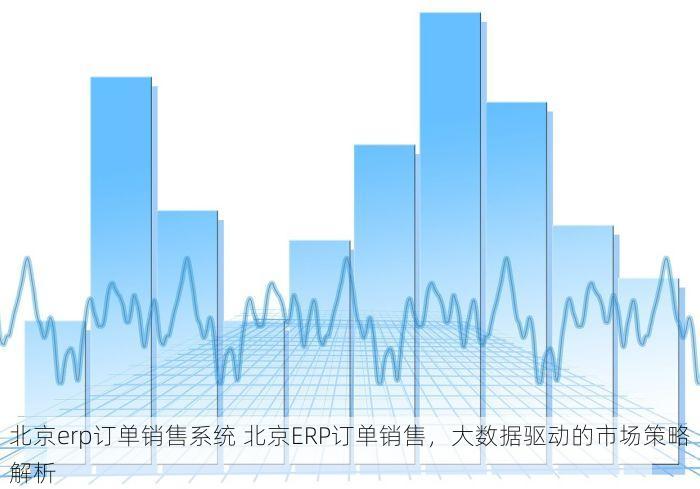 北京erp订单销售系统 北京ERP订单销售，大数据驱动的市场策略解析