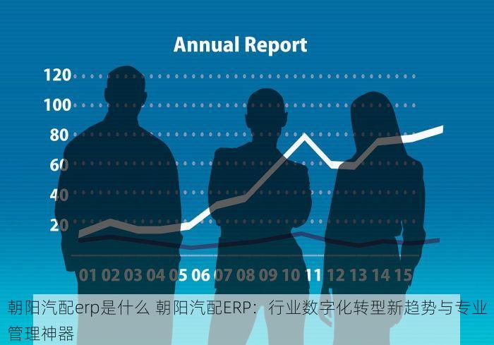 朝阳汽配erp是什么 朝阳汽配ERP：行业数字化转型新趋势与专业管理神器