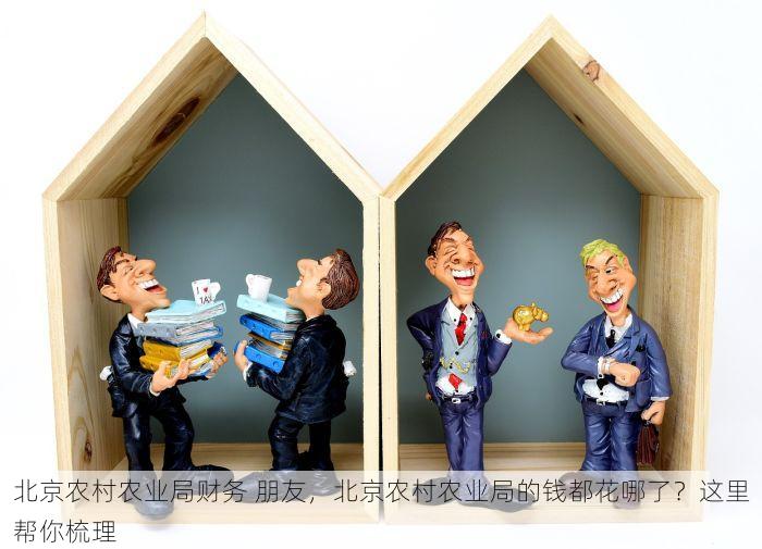 北京农村农业局财务 朋友，北京农村农业局的钱都花哪了？这里帮你梳理