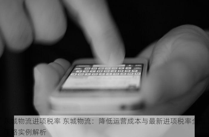 东城物流进项税率 东城物流：降低运营成本与最新进项税率全面策略实例解析