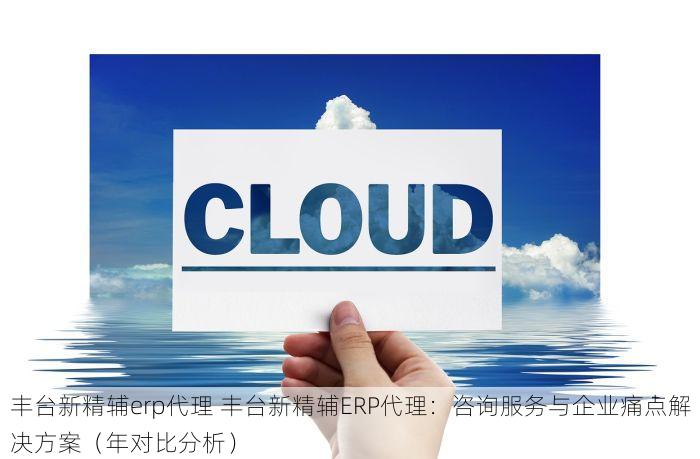 丰台新精辅erp代理 丰台新精辅ERP代理：咨询服务与企业痛点解决方案（年对比分析）