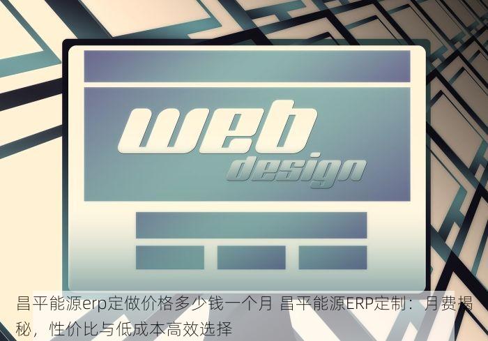 昌平能源erp定做价格多少钱一个月 昌平能源ERP定制：月费揭秘，性价比与低成本高效选择