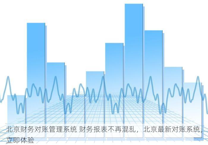 北京财务对账管理系统 财务报表不再混乱，北京最新对账系统，立即体验