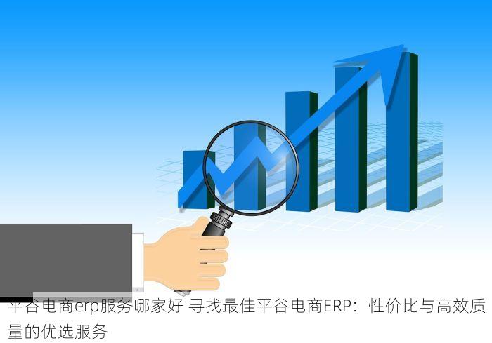平谷电商erp服务哪家好 寻找最佳平谷电商ERP：性价比与高效质量的优选服务