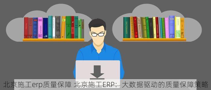 通州哪些进销存软件 通州企业进销存管理软件：专业定制与操作指南
