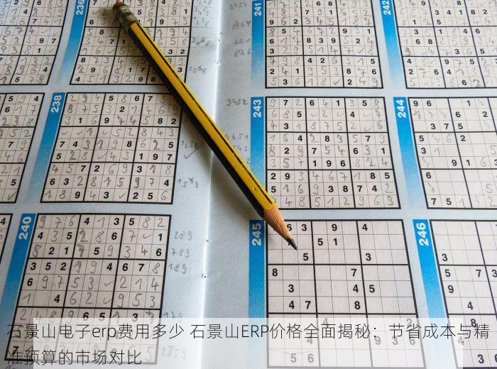 石景山电子erp费用多少 石景山ERP价格全面揭秘：节省成本与精准预算的市场对比