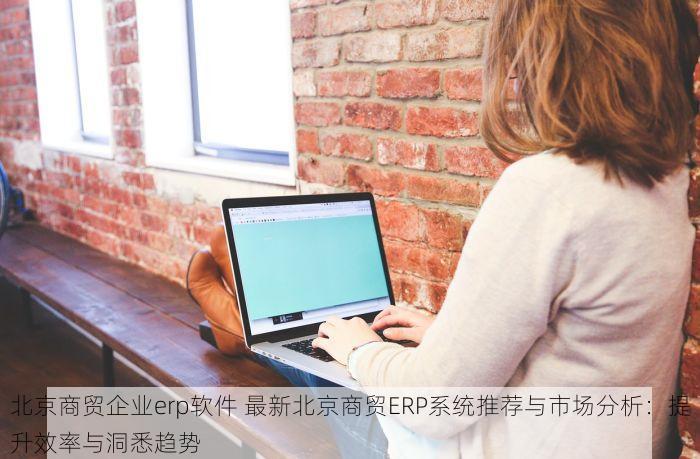 北京商贸企业erp软件 最新北京商贸ERP系统推荐与市场分析：提升效率与洞悉趋势