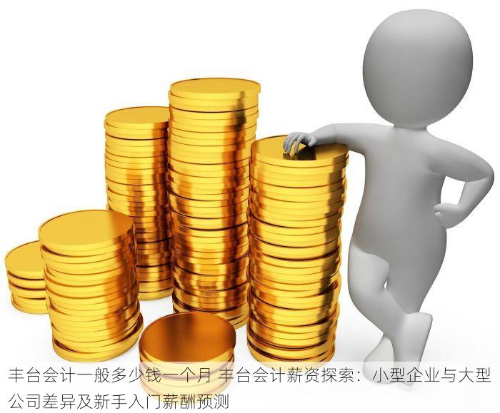 丰台会计一般多少钱一个月 丰台会计薪资探索：小型企业与大型公司差异及新手入门薪酬预测