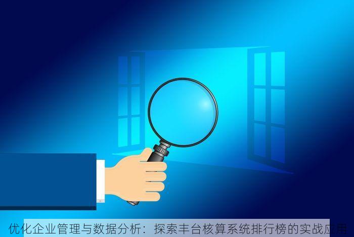 优化企业管理与数据分析：探索丰台核算系统排行榜的实战应用