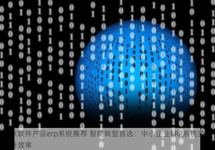 北京软件产品erp系统推荐 智能转型首选：中小企业ERP系统实战提升效率