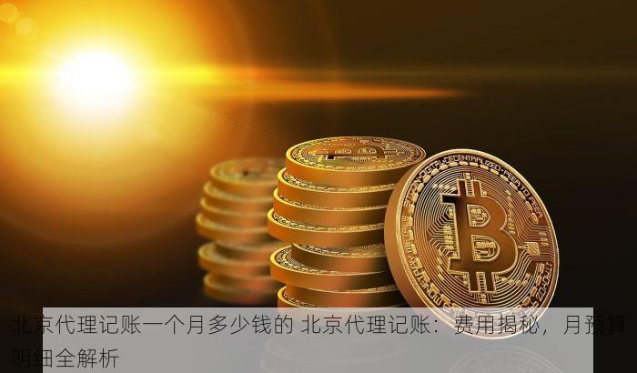 北京代理记账一个月多少钱的 北京代理记账：费用揭秘，月预算明细全解析