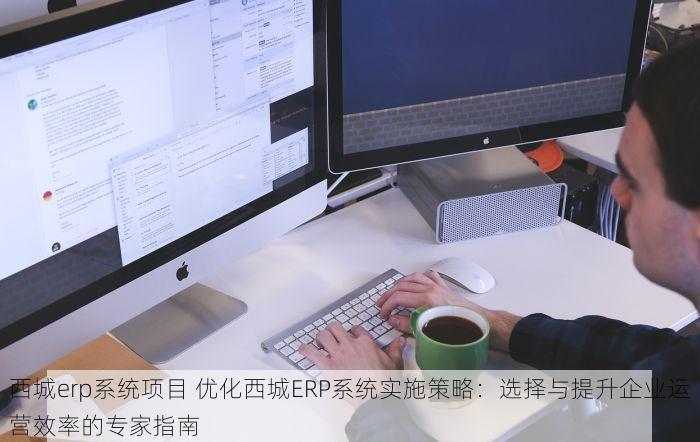 西城erp系统项目 优化西城ERP系统实施策略：选择与提升企业运营效率的专家指南
