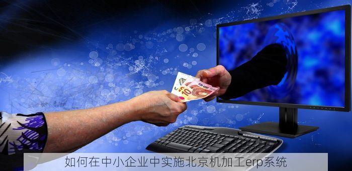 平谷定制服装erp厂商有哪些 平谷定制服装ERP市场优选服务商与Top系统供应商深度解析