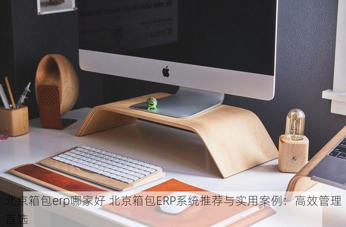 北京箱包erp哪家好 北京箱包ERP系统推荐与实用案例：高效管理首选