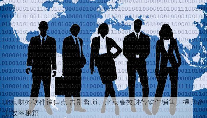 北京财务软件销售点 告别繁琐！北京高效财务软件销售，提升企业效率秘籍
