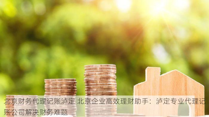 北京财务代理记账泸定 北京企业高效理财助手：泸定专业代理记账公司解决财务难题