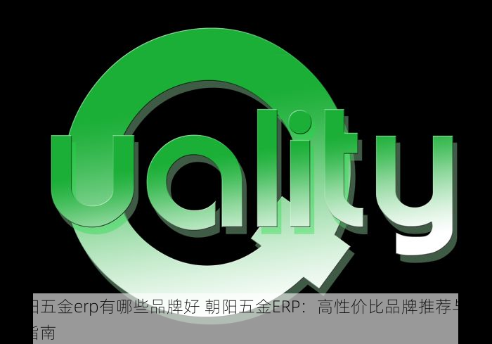 朝阳五金erp有哪些品牌好 朝阳五金ERP：高性价比品牌推荐与选购指南