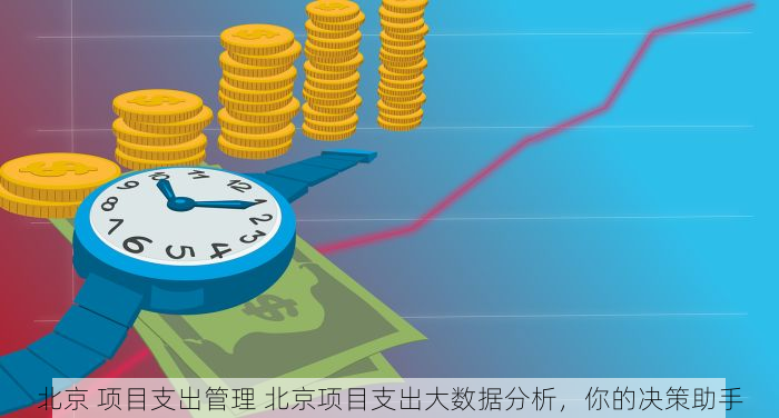 北京 项目支出管理 北京项目支出大数据分析，你的决策助手