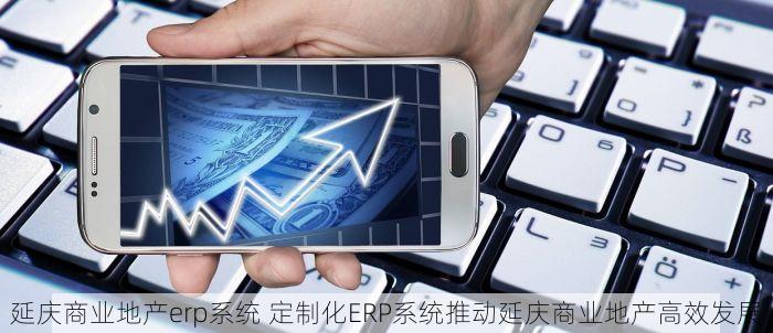 延庆商业地产erp系统 定制化ERP系统推动延庆商业地产高效发展