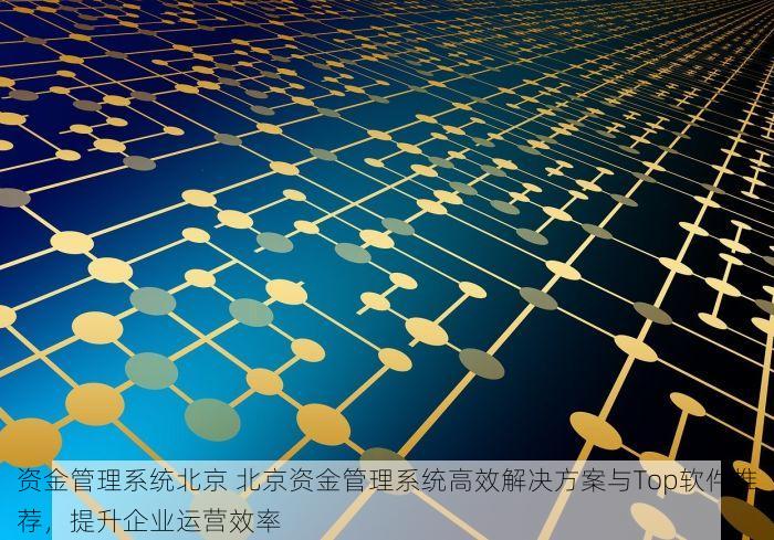 资金管理系统北京 北京资金管理系统高效解决方案与Top软件推荐，提升企业运营效率