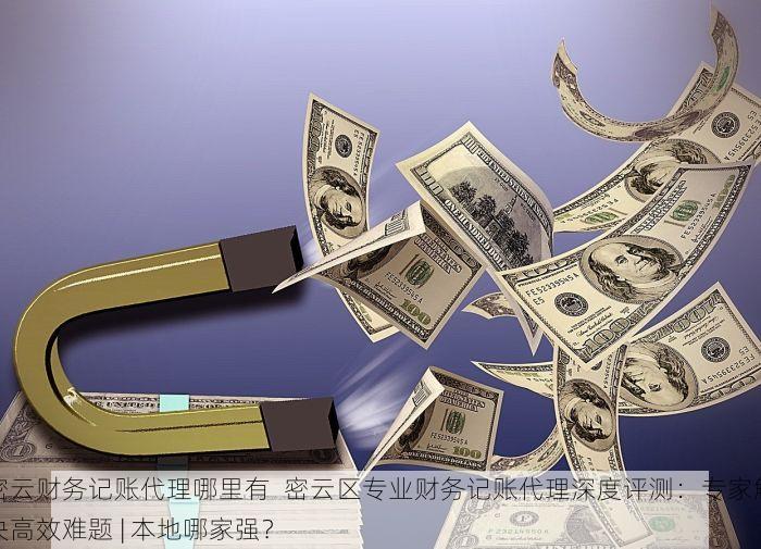 密云财务记账代理哪里有  密云区专业财务记账代理深度评测：专家解决高效难题 | 本地哪家强？ 