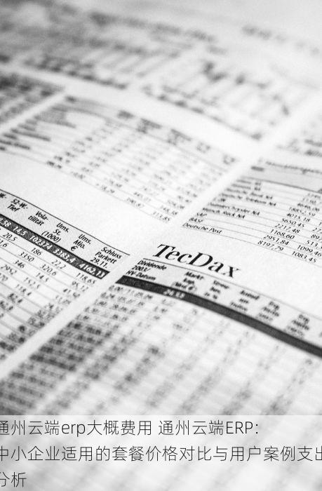 通州云端erp大概费用 通州云端ERP：中小企业适用的套餐价格对比与用户案例支出分析