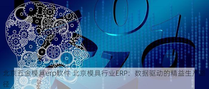 北京五金模具erp软件 北京模具行业ERP：数据驱动的精益生产路径