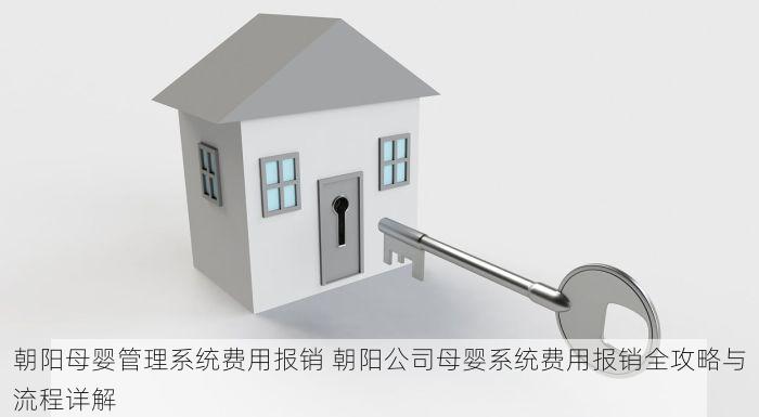 朝阳母婴管理系统费用报销 朝阳公司母婴系统费用报销全攻略与流程详解