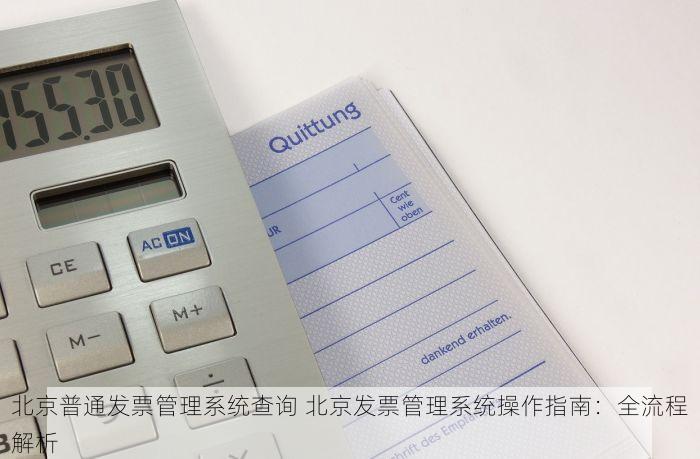 北京普通发票管理系统查询 北京发票管理系统操作指南：全流程解析