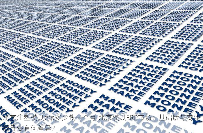 北京注塑模具erp多少钱一个月 北京模具ERP市场：基础版与专业版月费有何差异？