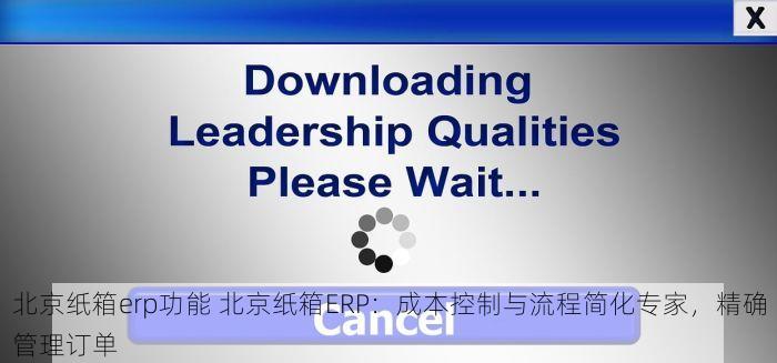 北京纸箱erp功能 北京纸箱ERP：成本控制与流程简化专家，精确管理订单