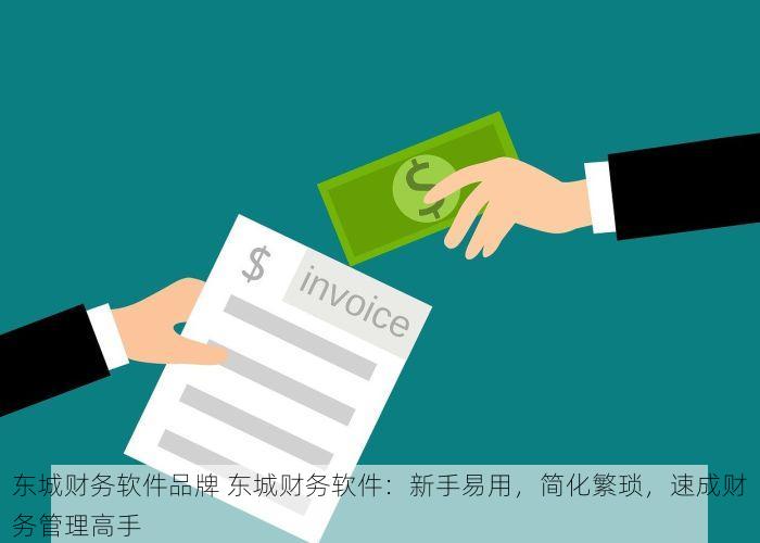 东城财务软件品牌 东城财务软件：新手易用，简化繁琐，速成财务管理高手