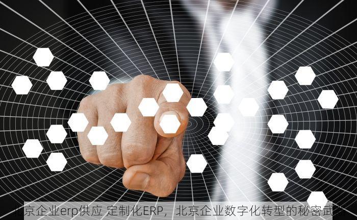 北京企业erp供应 定制化ERP，北京企业数字化转型的秘密武器