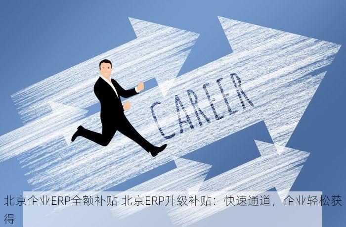 北京企业ERP全额补贴 北京ERP升级补贴：快速通道，企业轻松获得