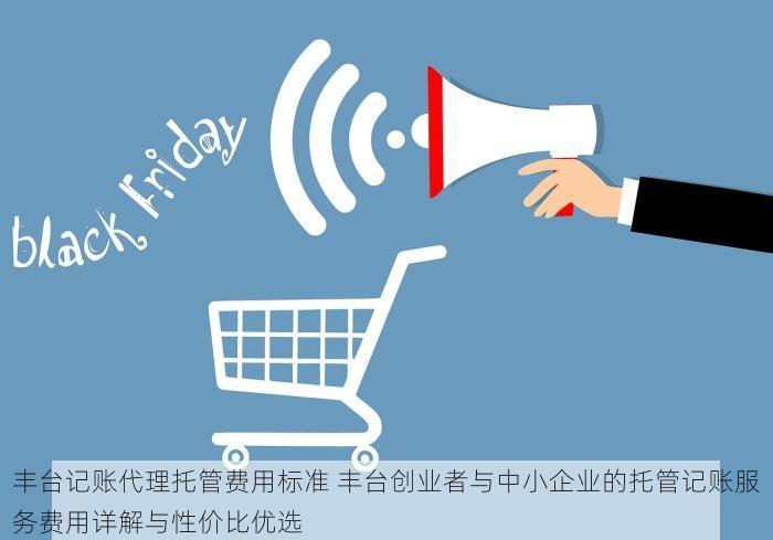 丰台记账代理托管费用标准 丰台创业者与中小企业的托管记账服务费用详解与性价比优选