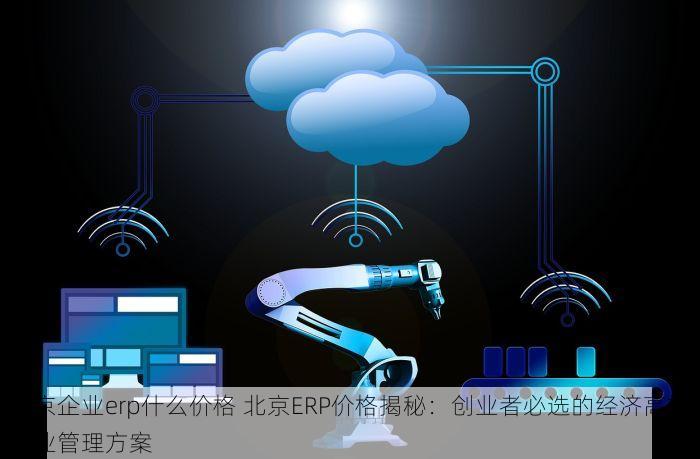 北京企业erp什么价格 北京ERP价格揭秘：创业者必选的经济高效企业管理方案
