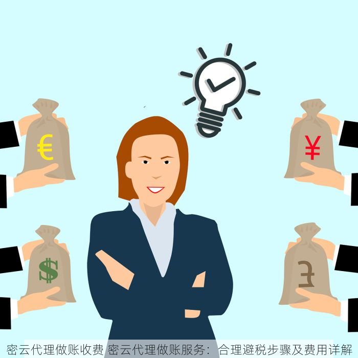 密云代理做账收费 密云代理做账服务：合理避税步骤及费用详解