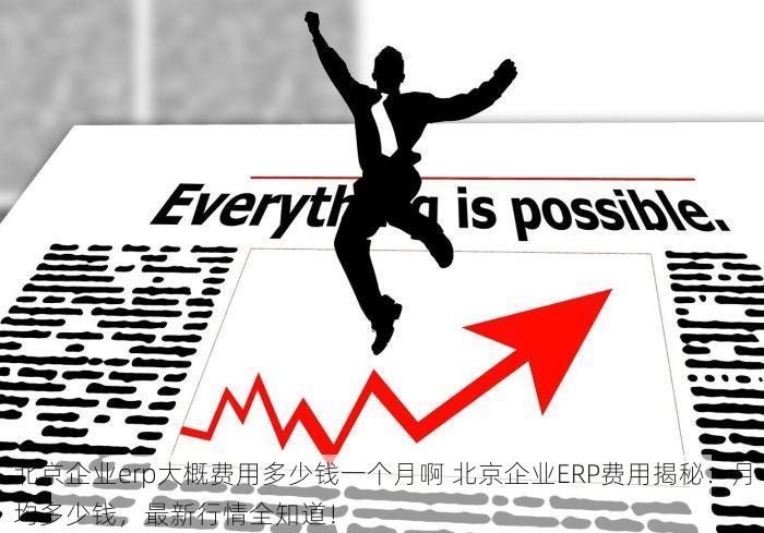 北京企业erp大概费用多少钱一个月啊 北京企业ERP费用揭秘：月均多少钱，最新行情全知道！