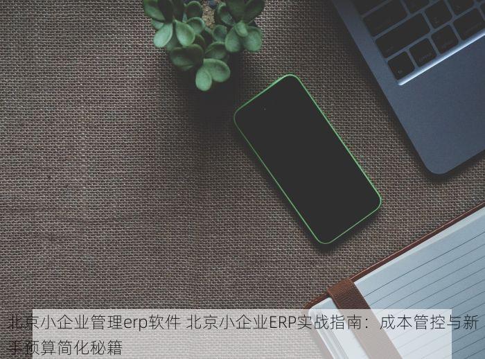 北京小企业管理erp软件 北京小企业ERP实战指南：成本管控与新手预算简化秘籍