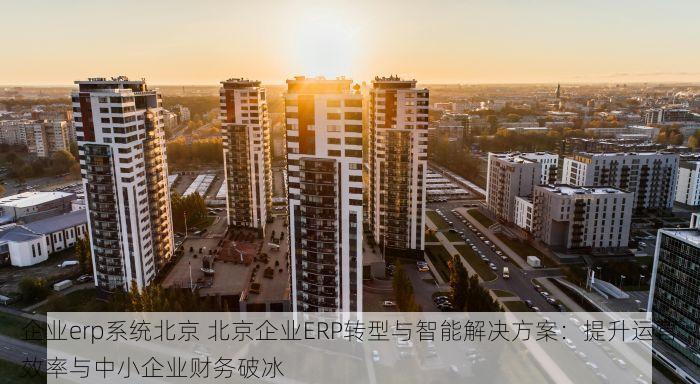 企业erp系统北京 北京企业ERP转型与智能解决方案：提升运营效率与中小企业财务破冰