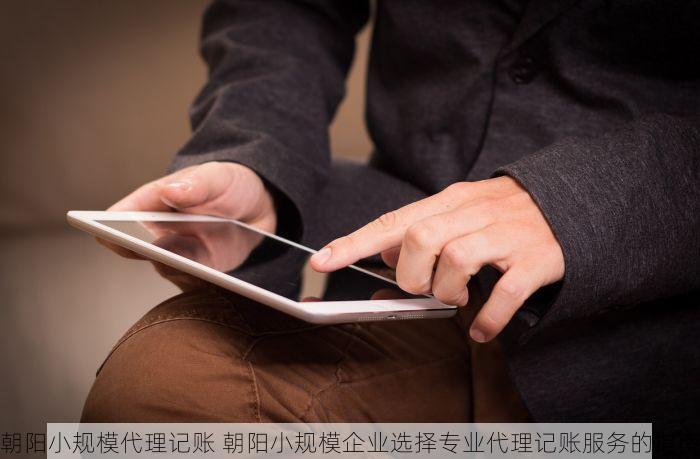 朝阳小规模代理记账 朝阳小规模企业选择专业代理记账服务的指南