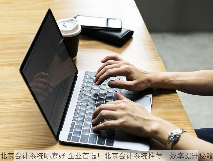 北京会计系统哪家好 企业首选！北京会计系统推荐，效率提升秘籍