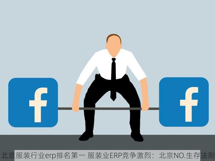北京服装行业erp排名第一 服装业ERP竞争激烈：北京NO.生存法则