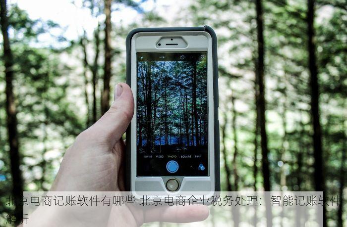 北京电商记账软件有哪些 北京电商企业税务处理：智能记账软件解析
